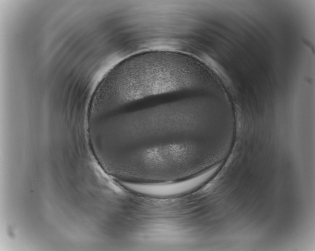 X0000099381240200805151611