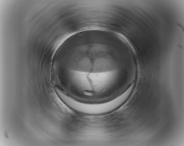 X0000099381244200805151611