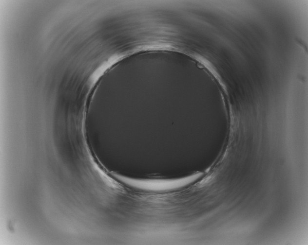 X0000099381245200805151611