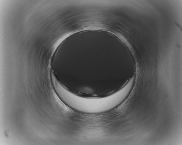 X0000099381246200805151611