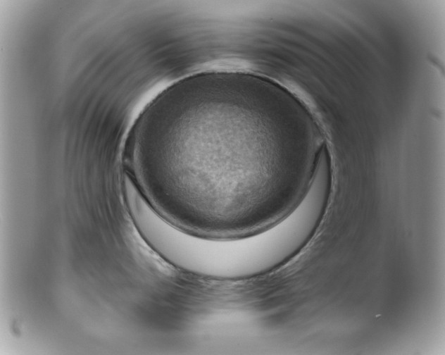 X0000099381248200805151611