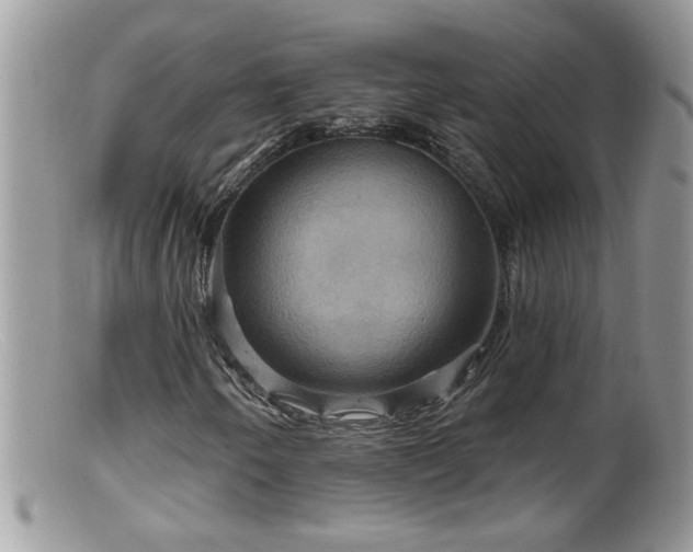 X0000099381250200805151610