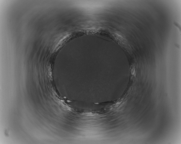 X0000099381252200805151610