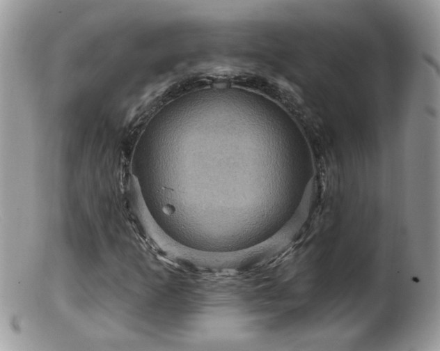 X0000099381253200805151610