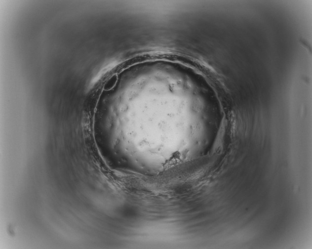 X0000099381255200805151610