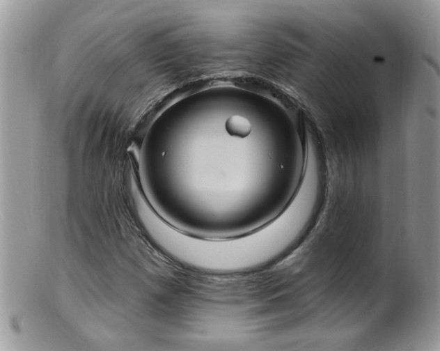 X0000099381257200805151610