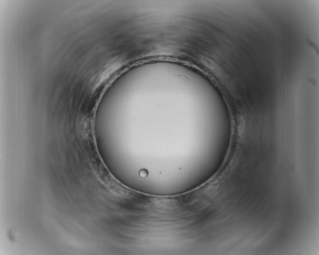 X0000099381258200805151610