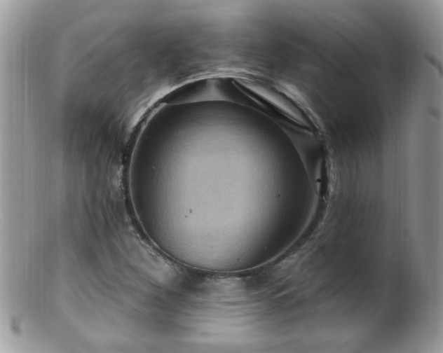 X0000099381260200805151610