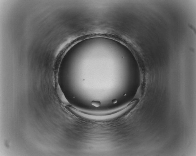 X0000099381262200805151610