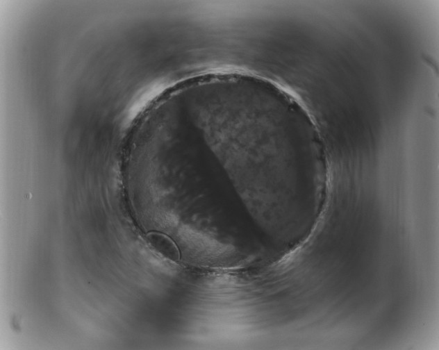 X0000099381263200805151610