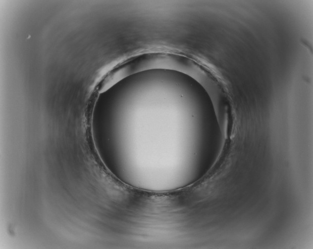 X0000099381264200805151610