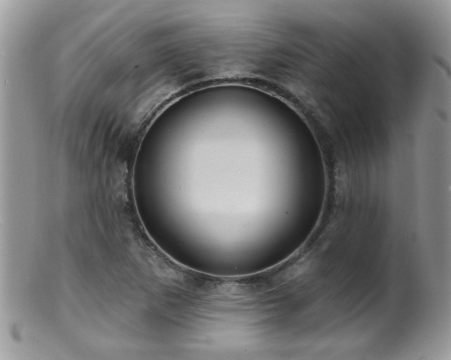 X0000099381265200805151610