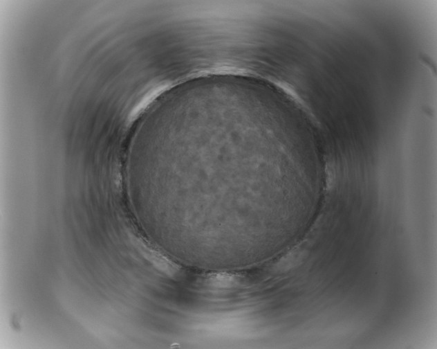 X0000099381266200805151610