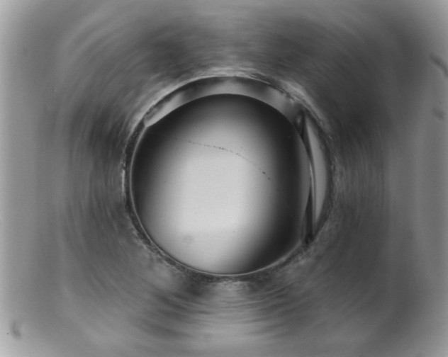 X0000099381268200805151610