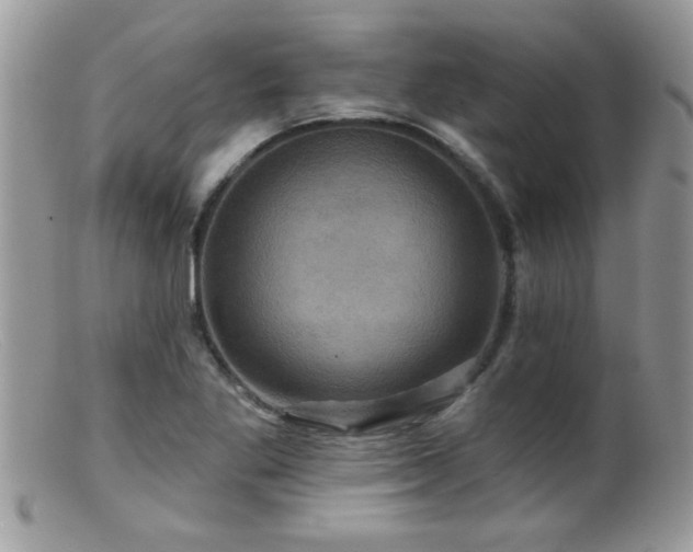 X0000099381269200805151610