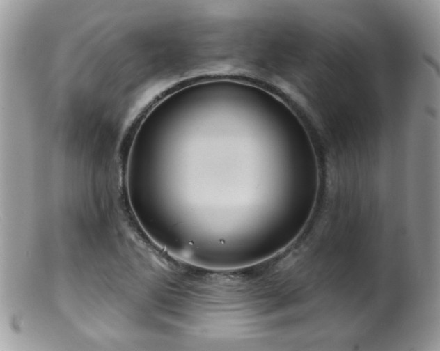 X0000099381270200805151610