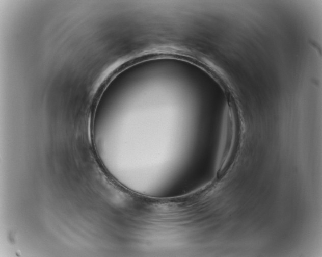 X0000099381272200805151610