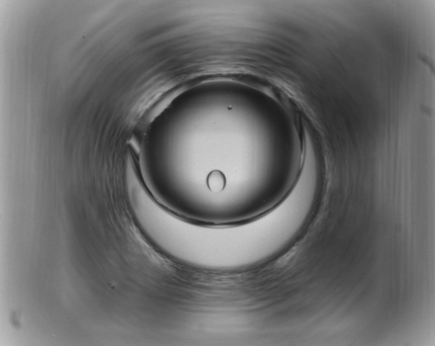 X0000099381273200805151610