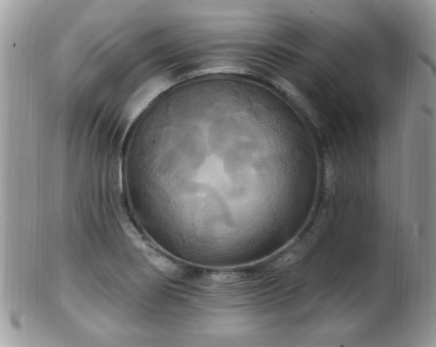 X0000099381274200805151610