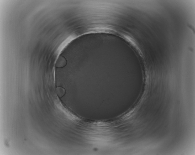 X0000099381275200805151610