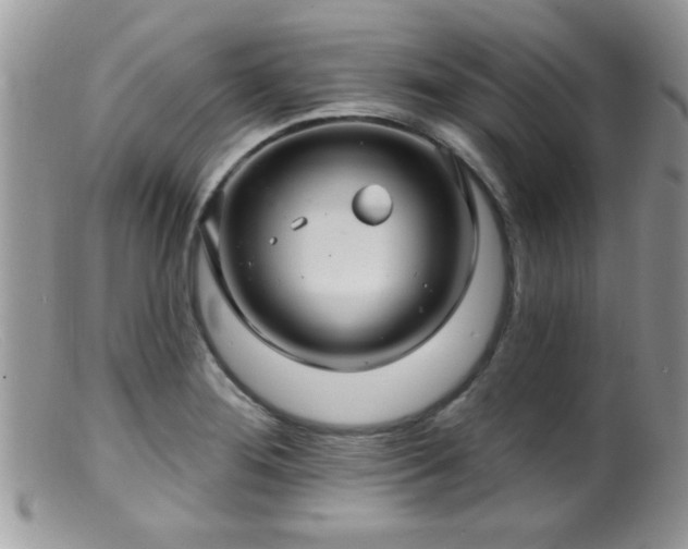 X0000099381276200805151610