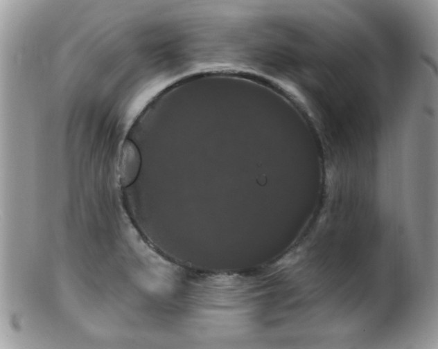 X0000099381279200805151609