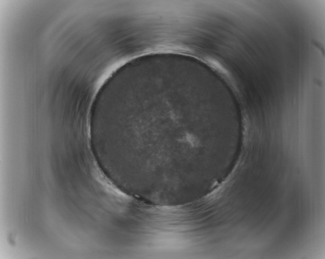 X0000099381280200805151609