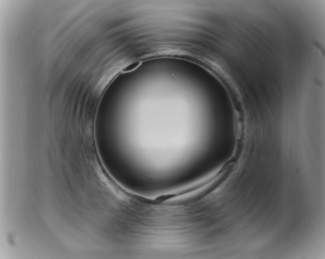 X0000099381281200805151609