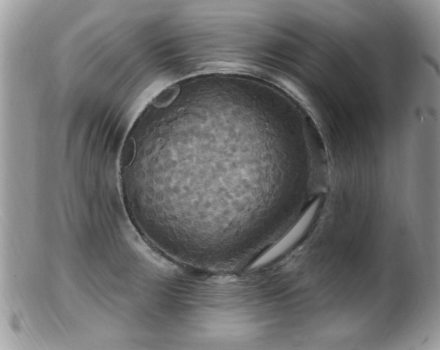 X0000099381283200805151609