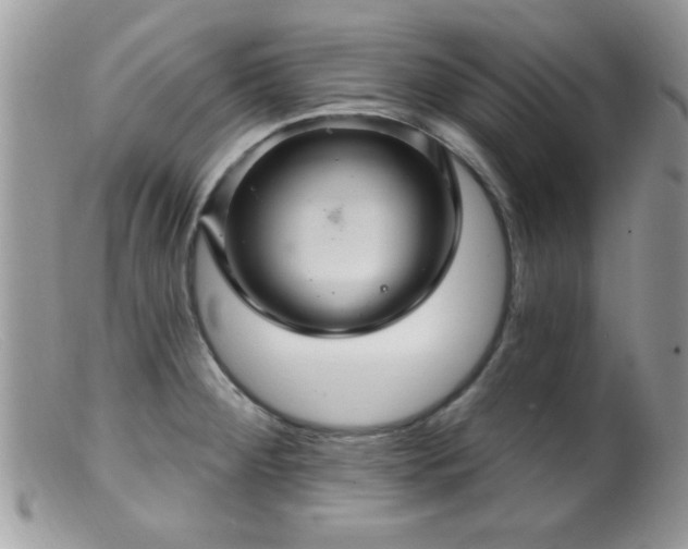 X0000099381284200805151609