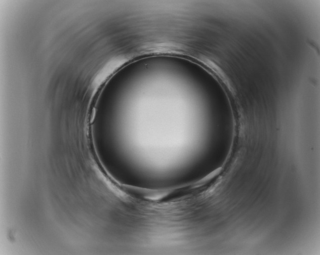 X0000099381285200805151609