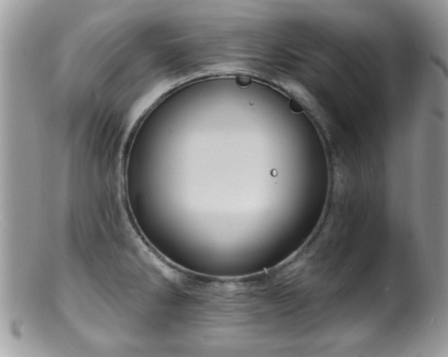 X0000099381286200805151609