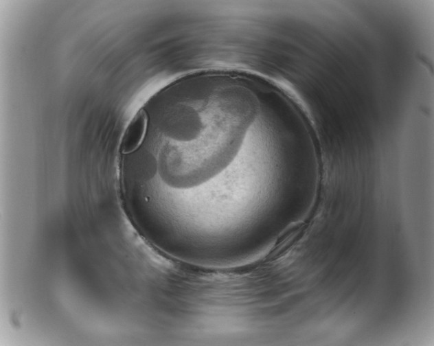 X0000099381287200805151609