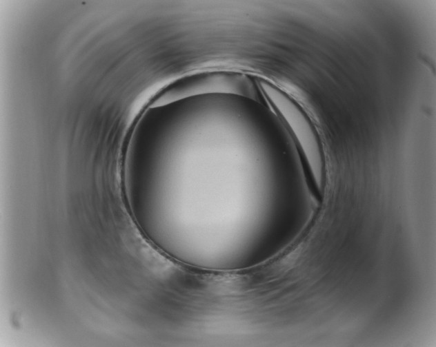 X0000099381288200805151609