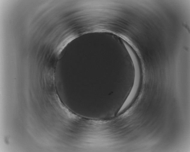 X0000099381289200805151609