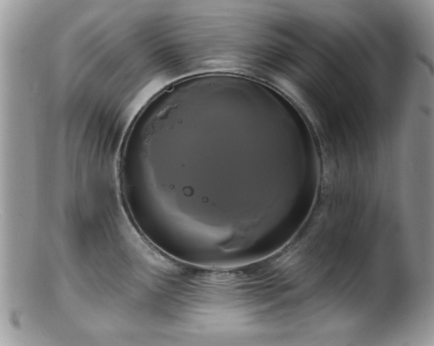 X0000099381291200805151609