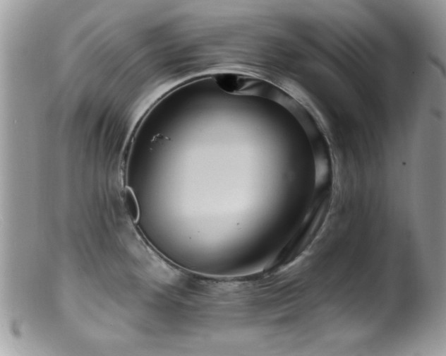 X0000099381292200805151609