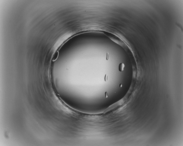 X0000099381293200805151609