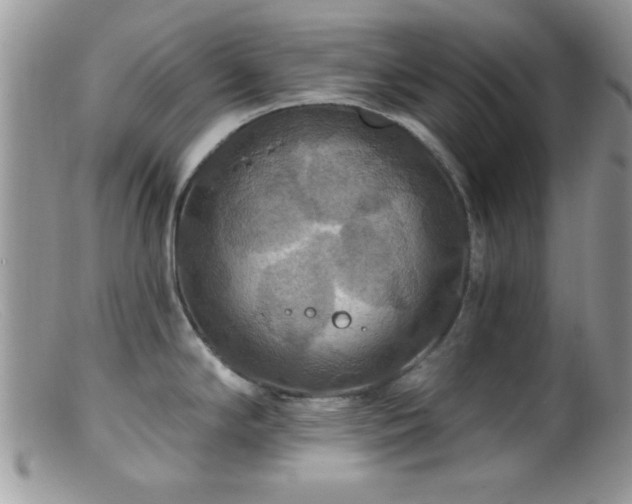 X0000099381294200805151609