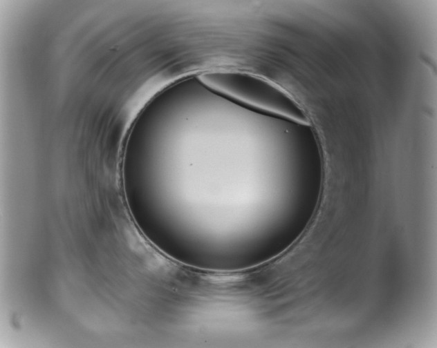 X0000099381296200805151609