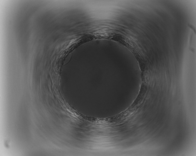 X0000099381297200805151609