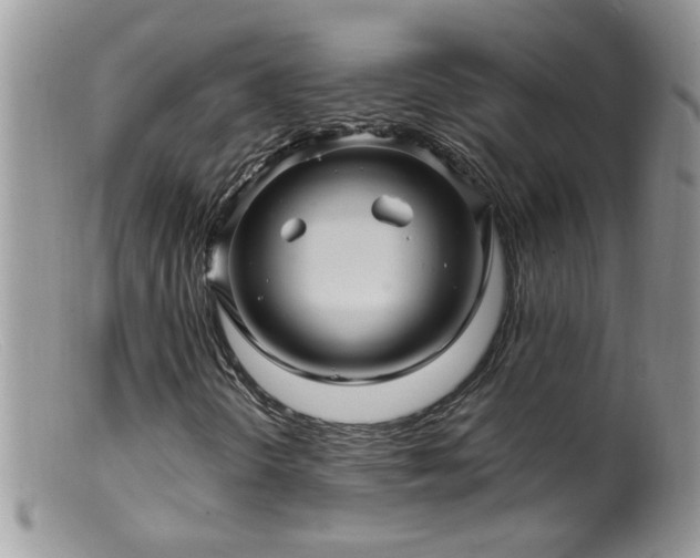 X0000099381298200805151609