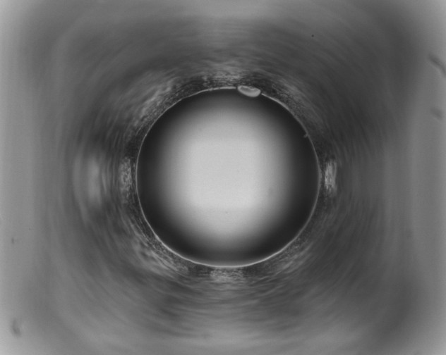 X0000099381299200805151609