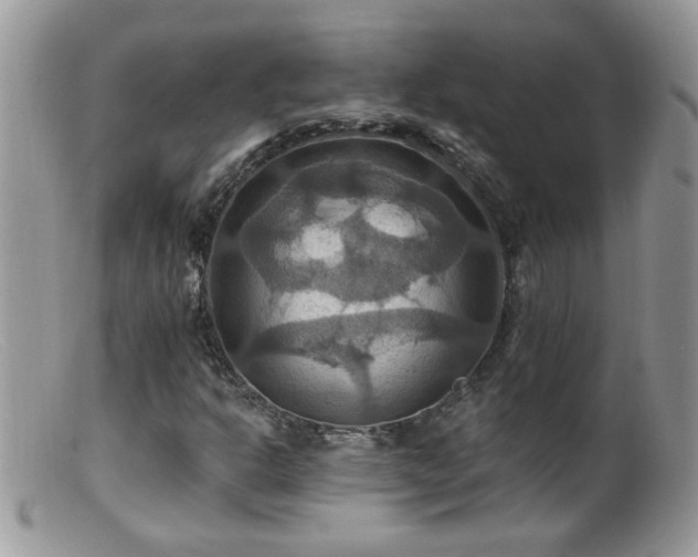 X0000099381302200805151609