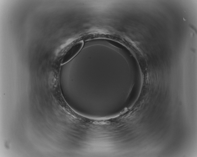 X0000099381303200805151609