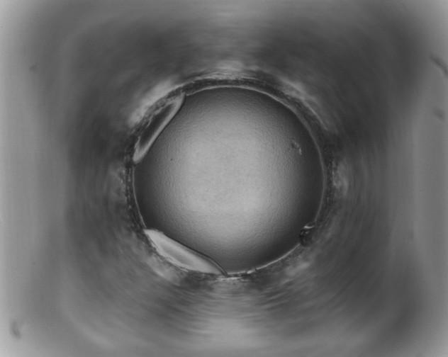 X0000099381304200805151609