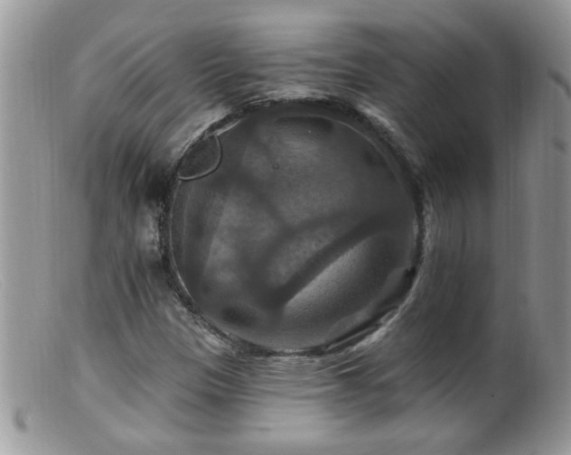 X0000099381305200805151609