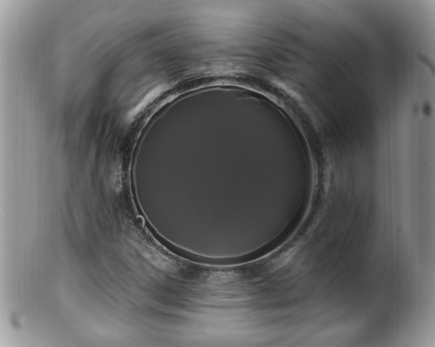 X0000099381306200805151609