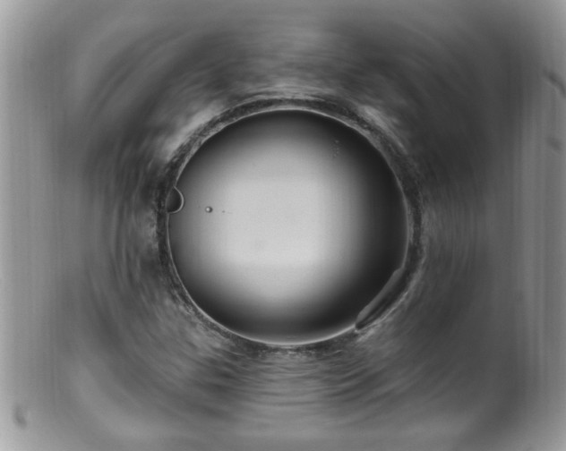 X0000099381307200805151609