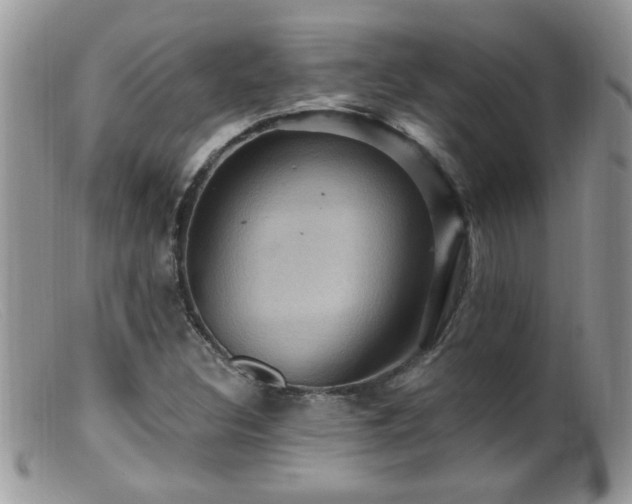 X0000099381308200805151609